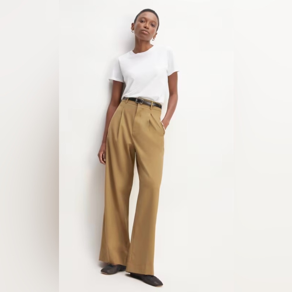 Everlane Italian Wool Way High Drape Pant